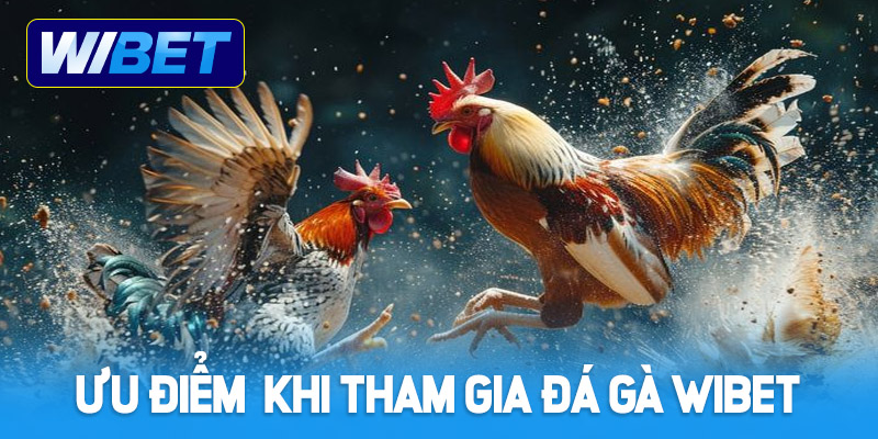 Ưu điểm khi tham gia cá cược tại sảnh đá gà WIBET