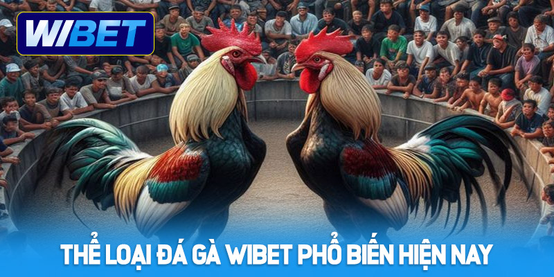 Các thể loại đá gà WIBET phổ biến hiện nay