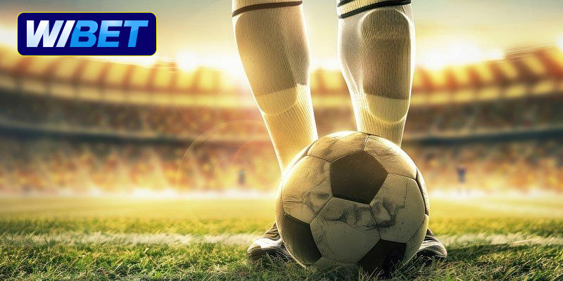 Cách đọc kèo rung bóng đá chuẩn xác tại WIBET